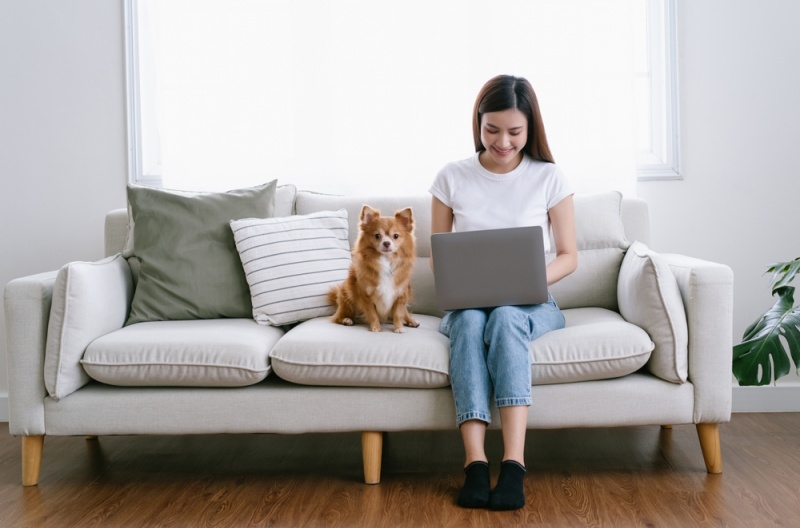 ネットワークビジネスに女性が興味を持つ理由
