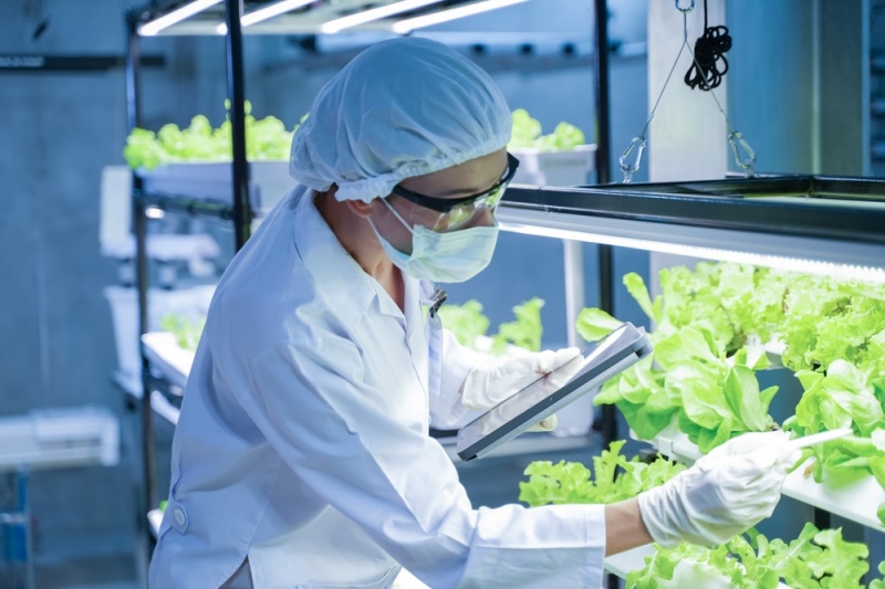 メディカルアロマの魅力を探る